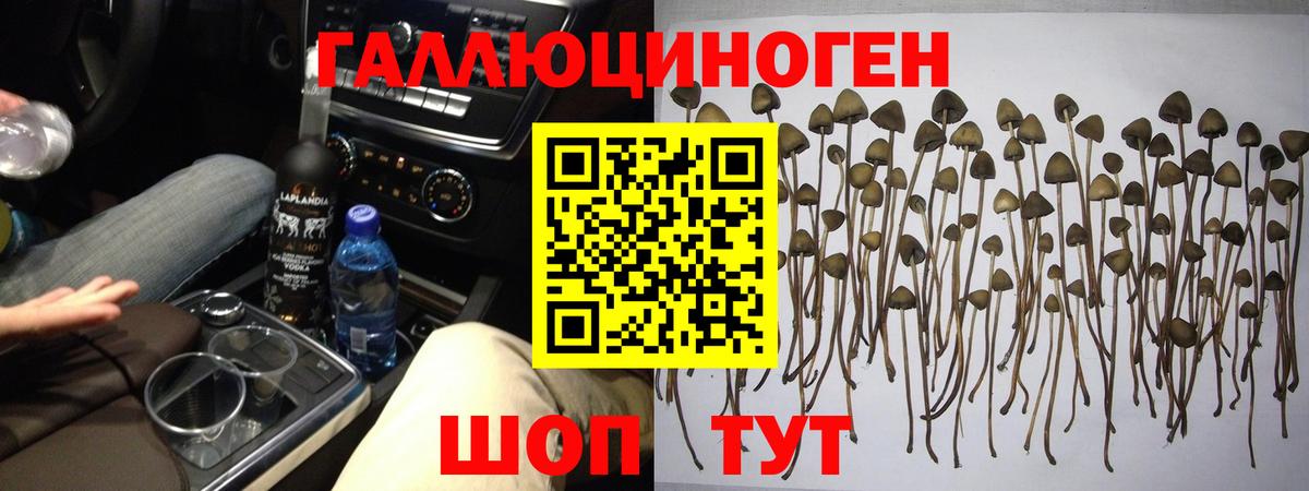 Псилоцибиновые грибы Psilocybe  Псилоцибиновые грибы Magic Shrooms  Сланцы  Вход с VPN 