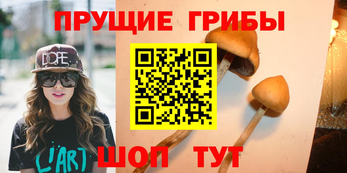 Псилоцибиновые грибы прущие грибы Сланцы